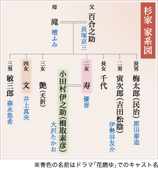 杉家家系図